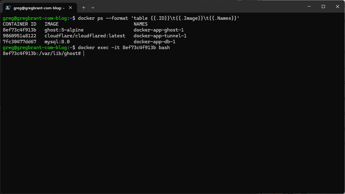 A screenshot of a Windows Terminal window showing docker ps and docker exec commands.
